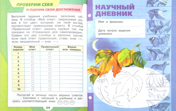 Окружающий мир 1 класс