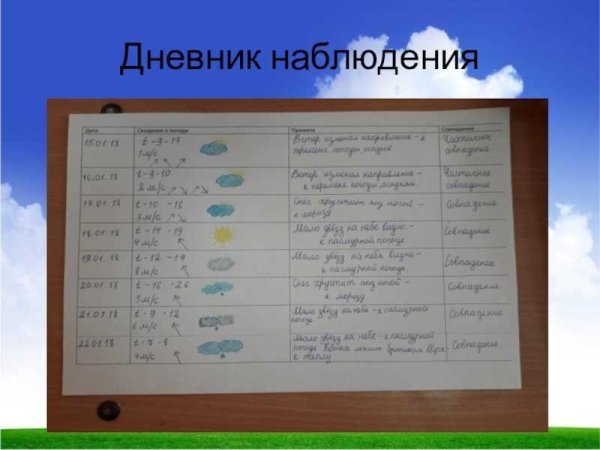 Дневник наблюдений таблица
