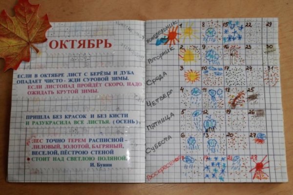 Дневник наблюдений за погодой