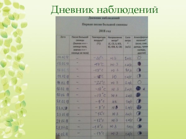 Дневник фенологических наблюдений