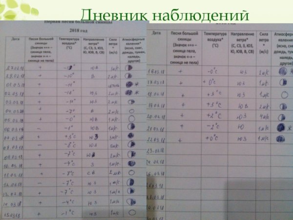 Таблица погоды для школьников