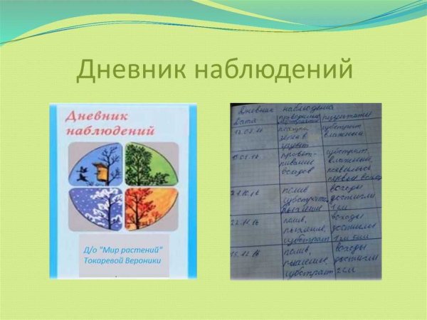 Дневник наблюдений