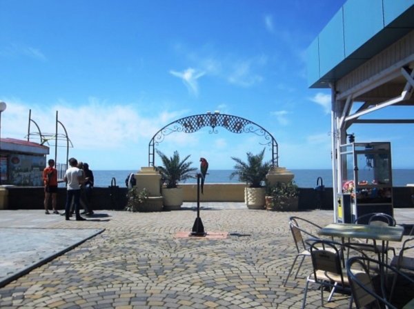 Адлер пляж Чайка набережная