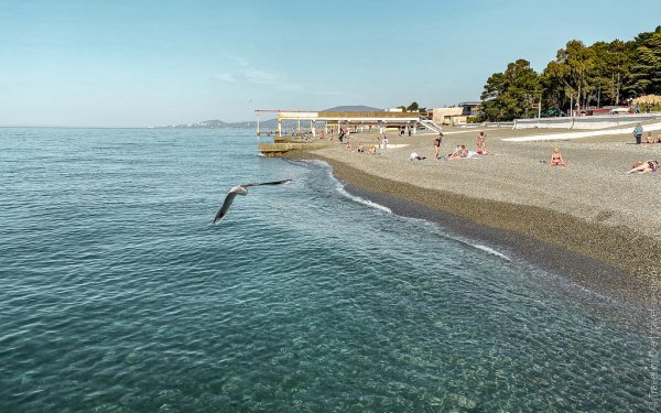 Пляж Чайка Адлер