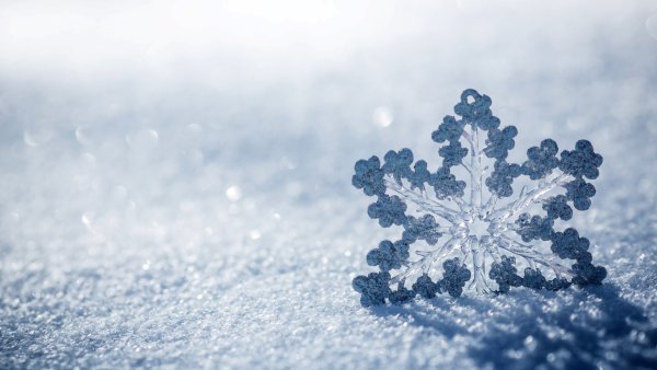 Снежинки в природе