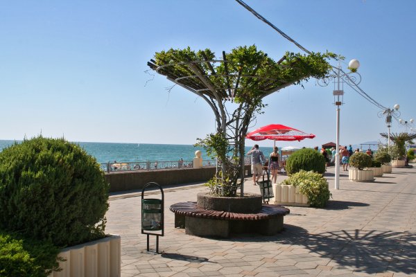 Набережная Чайка Адлер