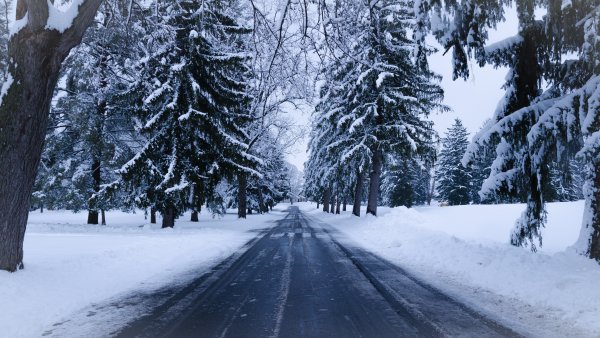 Зимняя дорога в лесу