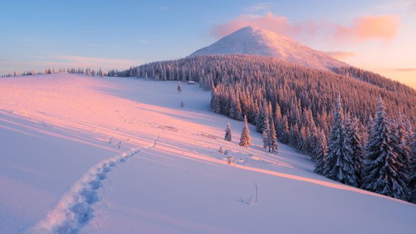 Заснеженные холмы
