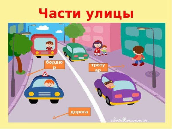 Части улицы для детей
