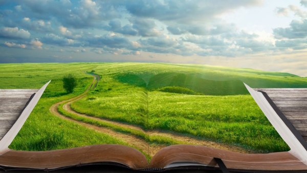 Книга природа