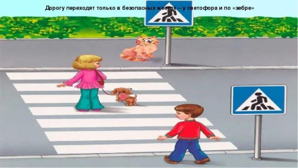 Переходи дорогу правильно