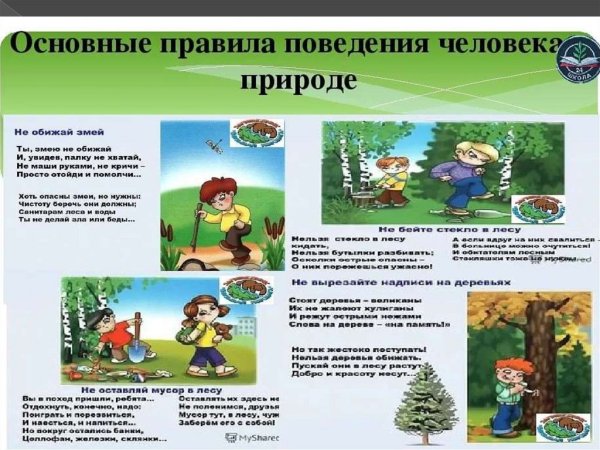 Правила поведения на природе