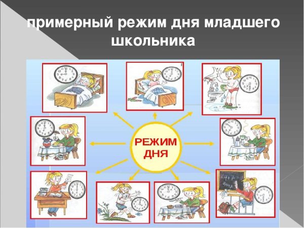 Режим дня школьника