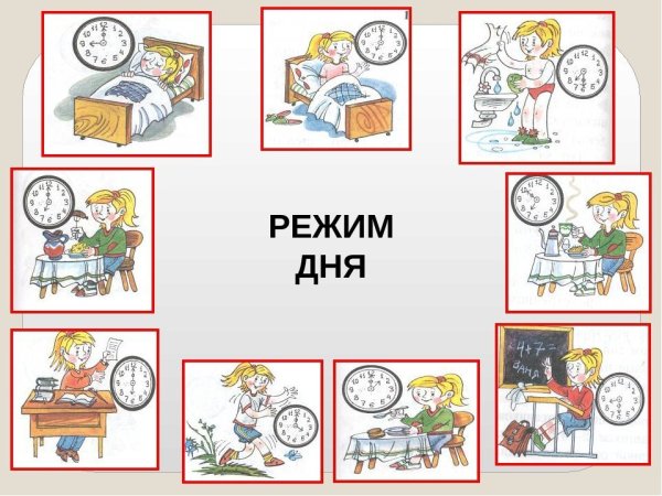 Распорядок дня иллюстрация