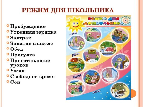 ЗОЖ режим дня школьника