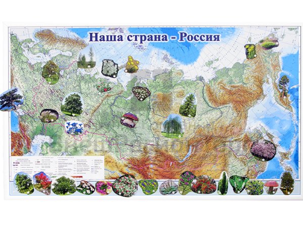 Растительный мир России карта