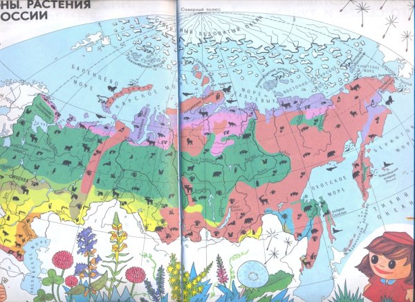Карта природных зон мира