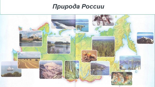 Карта природы России 1 класс