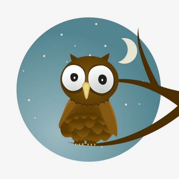Совы мультяшные