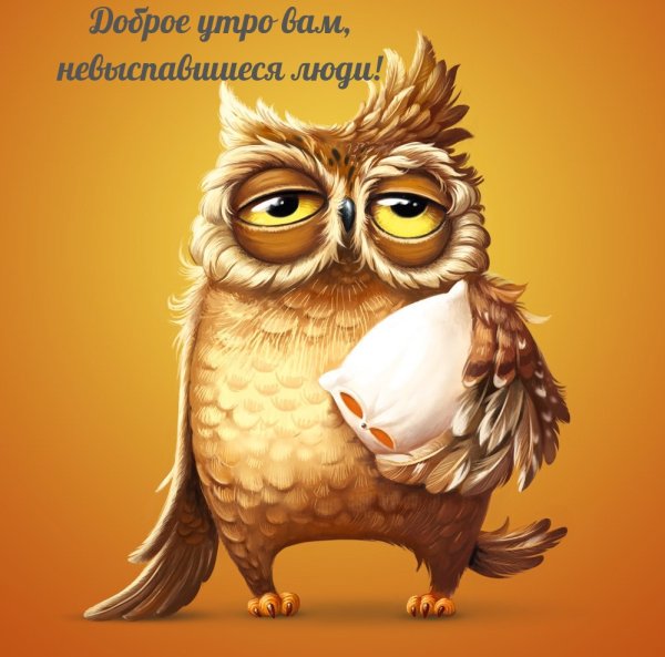 Утренняя Сова