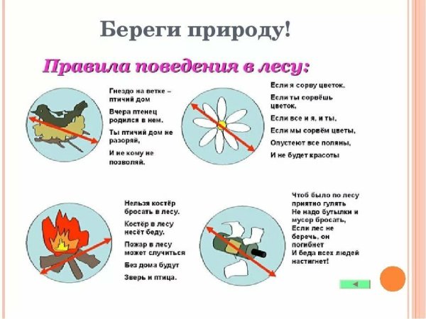 Памятка о правильном поведении в лесу