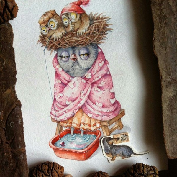 Сонная Сова картинки прикольные