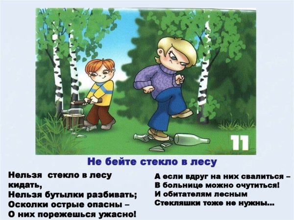 Правила поведения в лесу для детей