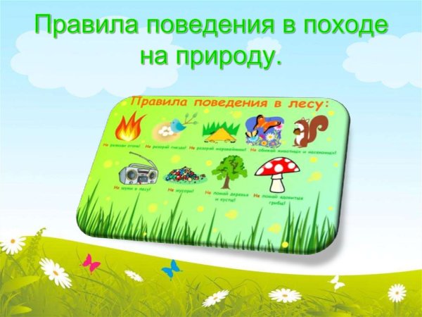 Правила поведения в похо же