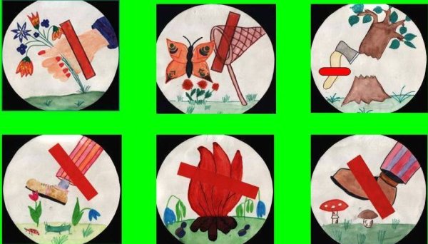 Экологические знаки в лесу