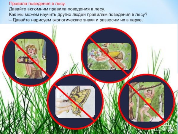 Безопасное поведение в лесу