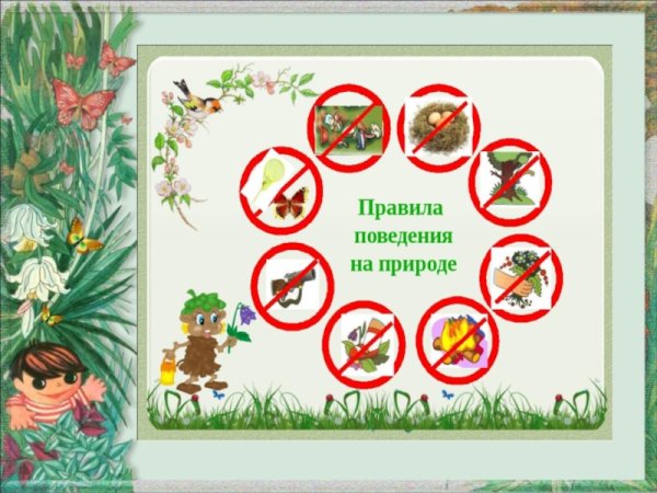 Проект правила поведения на природе