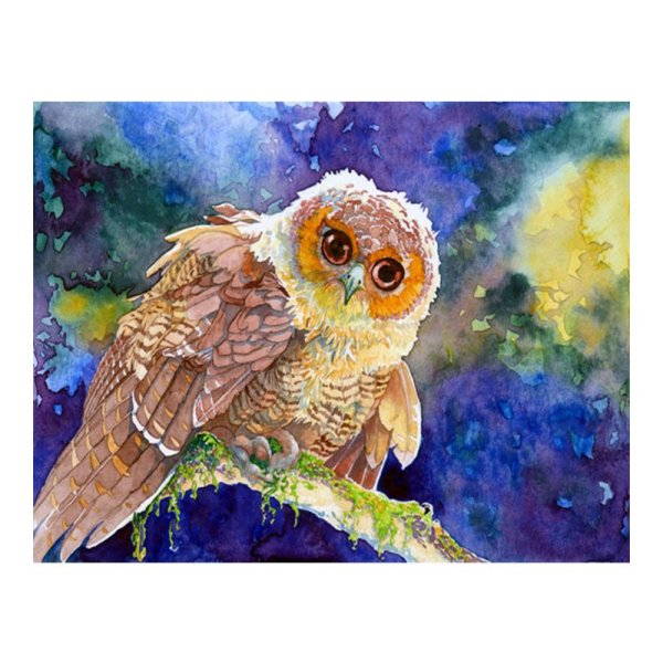 Сова акварелью