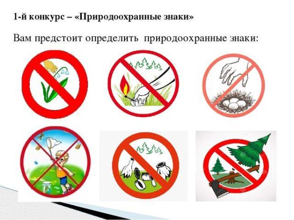 Знаки правил поведения в природе