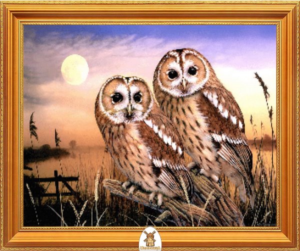Изображения сов живопись