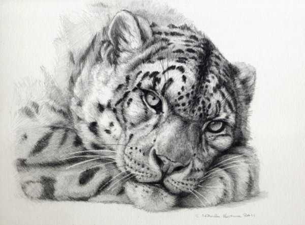 Ирбис снежный Барс тату