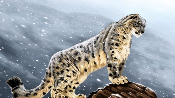 Каджит снежный Барс