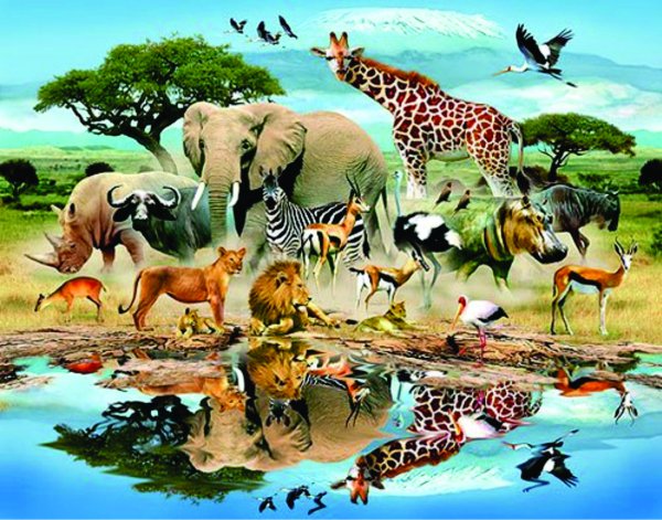Животный мир Африки