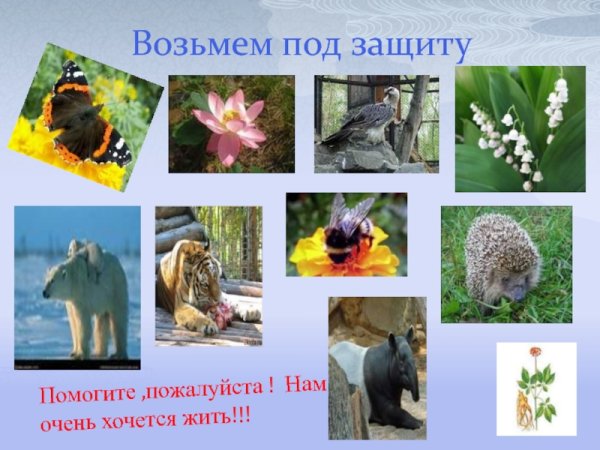 Возьмем под защиту