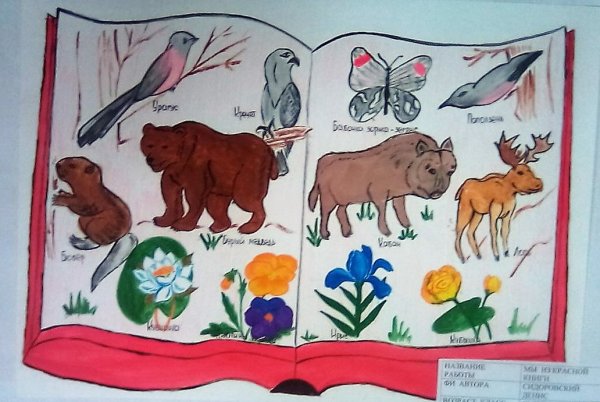 Рисунки животных из красной книги
