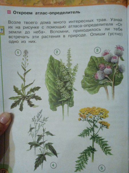Атлас атлас определитель от земли до неба 4 класс