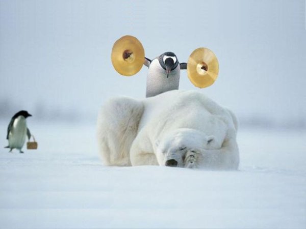 Доброе утро Пингвин