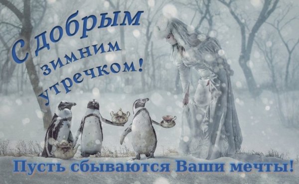 С добрым снежным утром с юмором