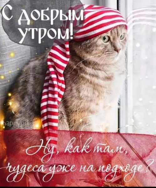 С первымднем зимв доьоое кто