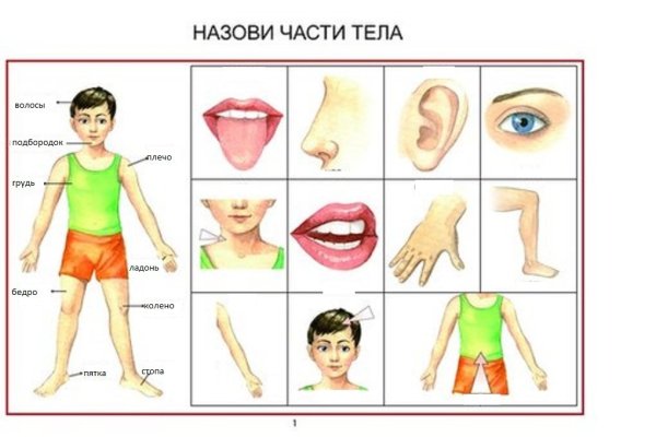 Части тела человека для детей