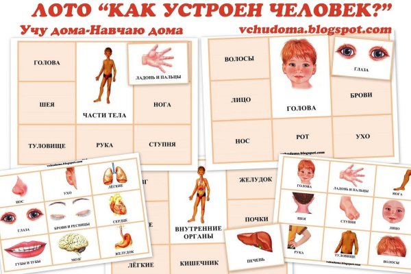 Тело человека для дошкольников