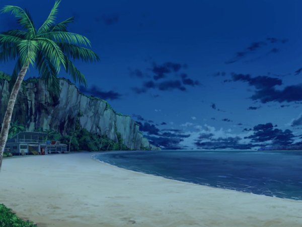 Пляж ночью аниме