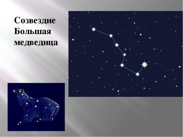 Созвездия ковша большой медведицы окружающий мир