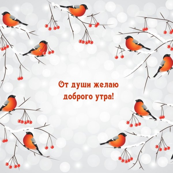 Пожелания с добрым снежным утром