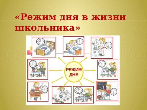 Распорядок дня младшего школьника