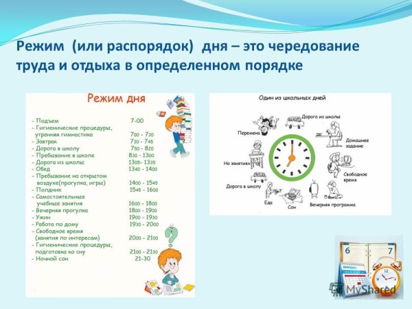 Распорядок дня школьника